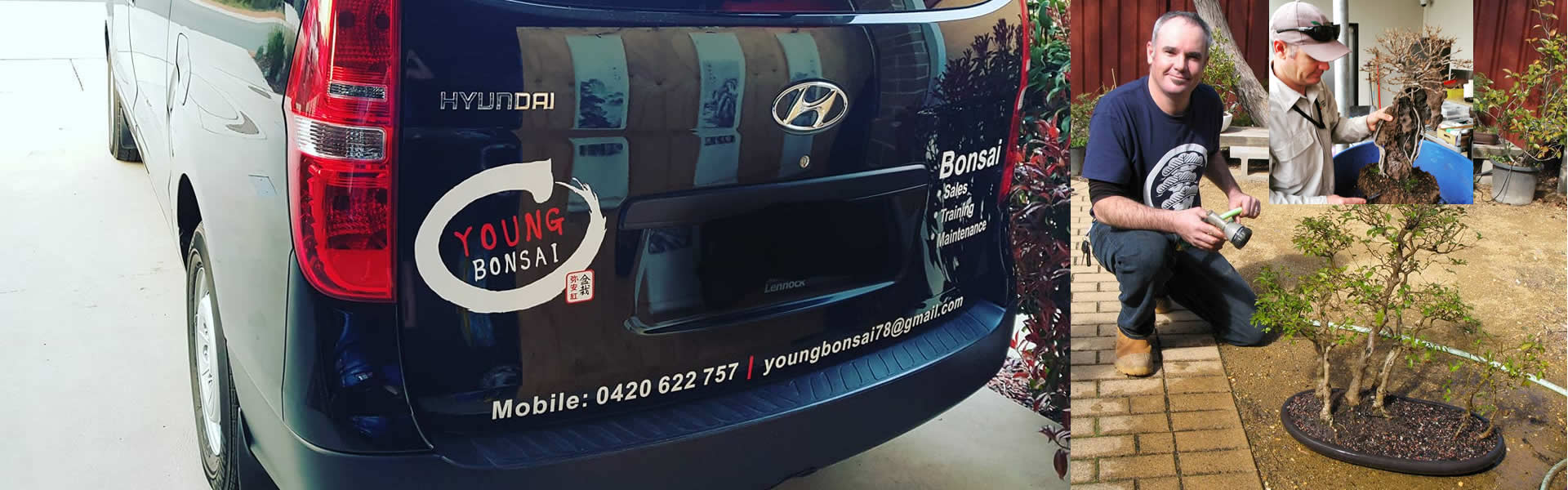 young-bonsai-canberra-banner-01a